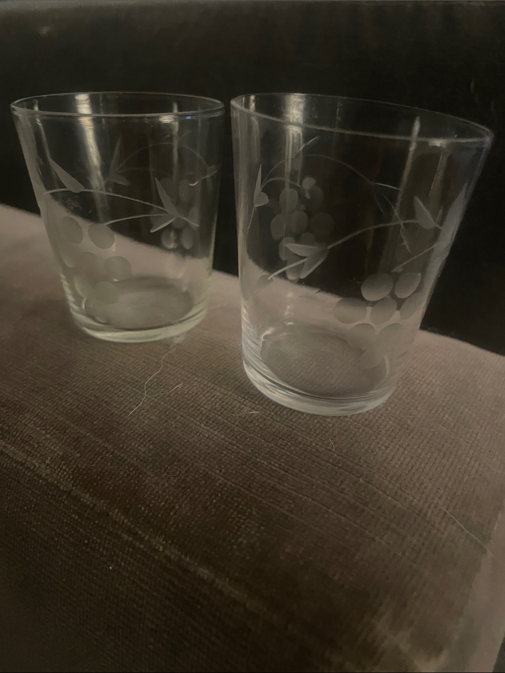 Clear Glass shot glasses with Etched grape  Motif - Set of 2